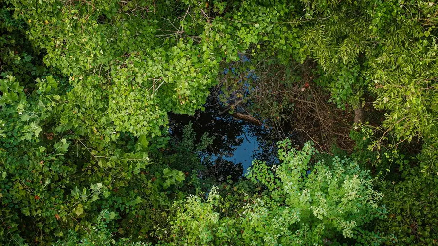 8525 Fm 2754, Brenham, TX 77833 - #3