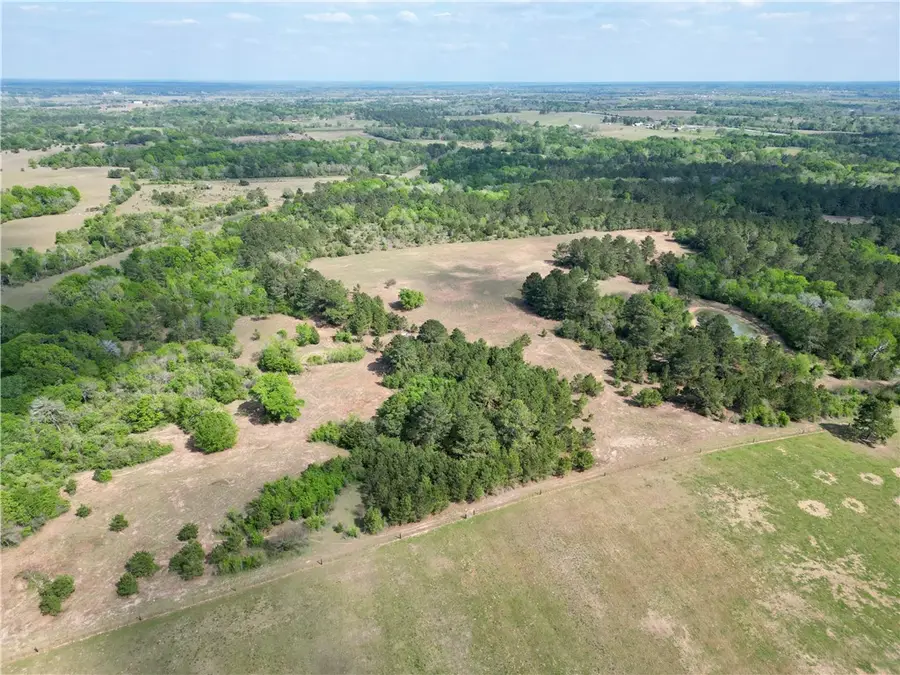 TBD County Road 408, Navasota, TX 77868 - #2