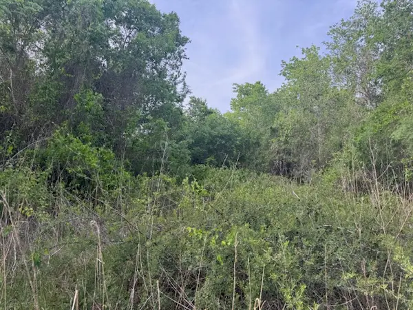 25230 Lake Ridge Drive, Navasota, TX 77868