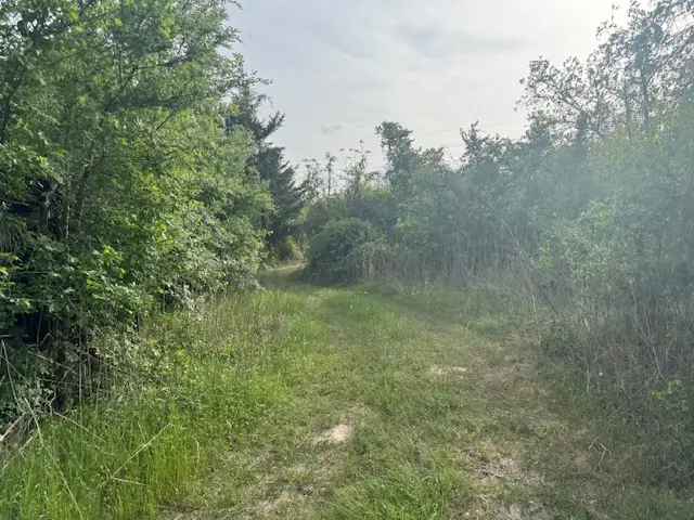 25230 Lake Ridge Drive, Navasota, TX 77868 - #3