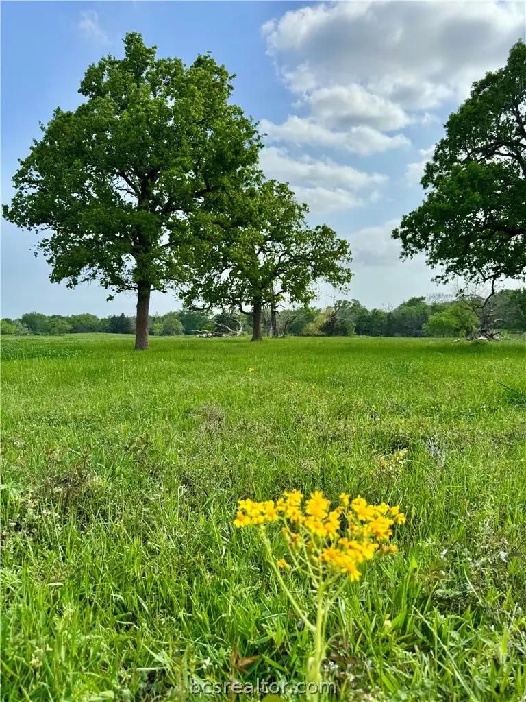 15420 Arhopulos Road, College Station, TX 77845 - #2