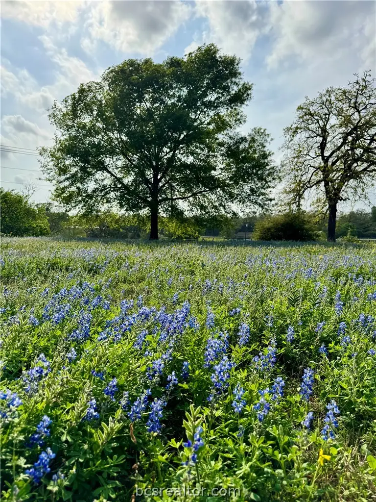 15420 Arhopulos Road, College Station, TX 77845 - #3