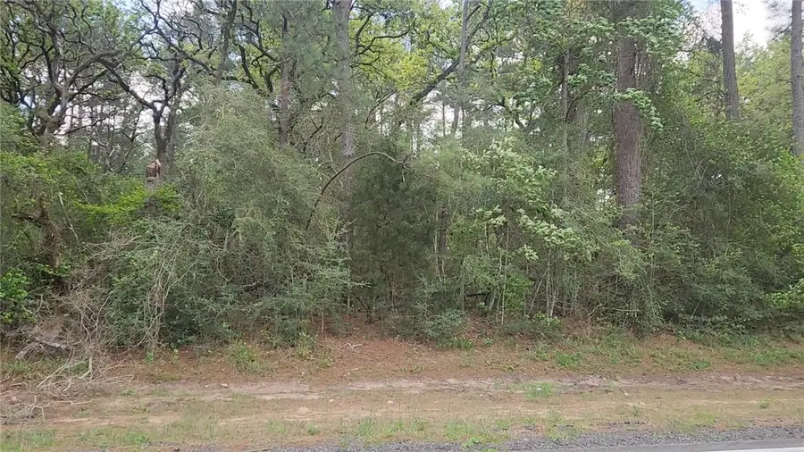 Lot 2 N. Council Dr., Hempstead, TX 77445 - #2