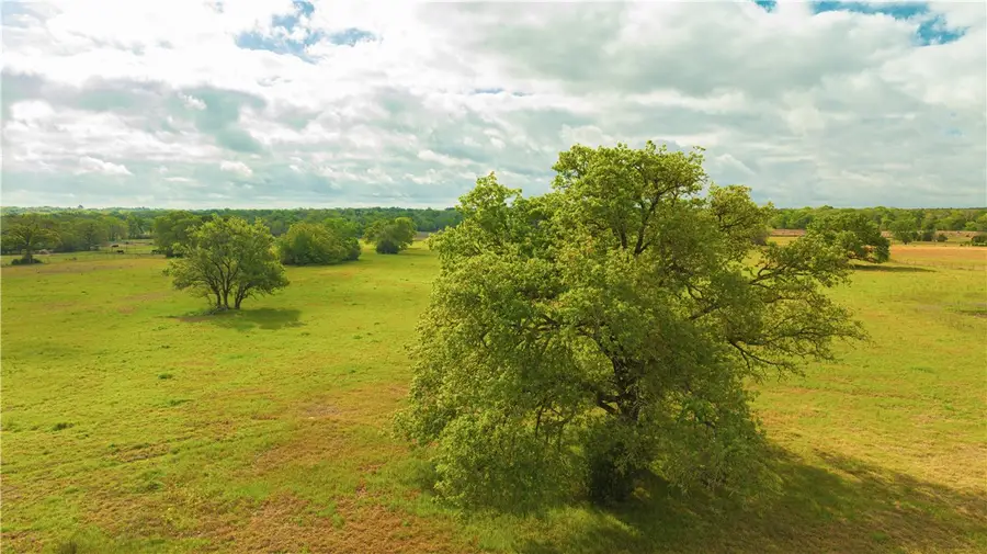 9999 Tabor Rd, Bryan, TX 77808 - #3