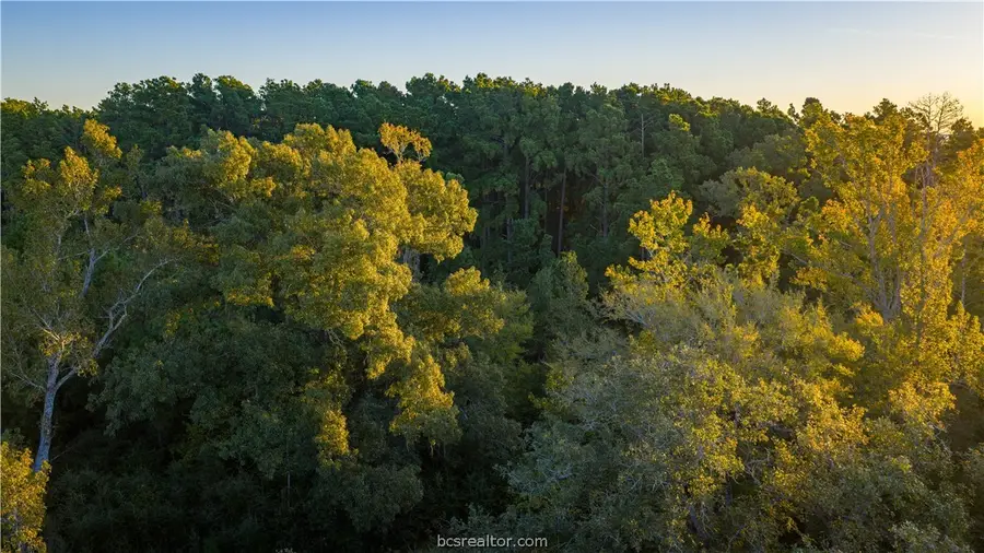 15383 Cr 236, Oakwood, TX 75855 - #2