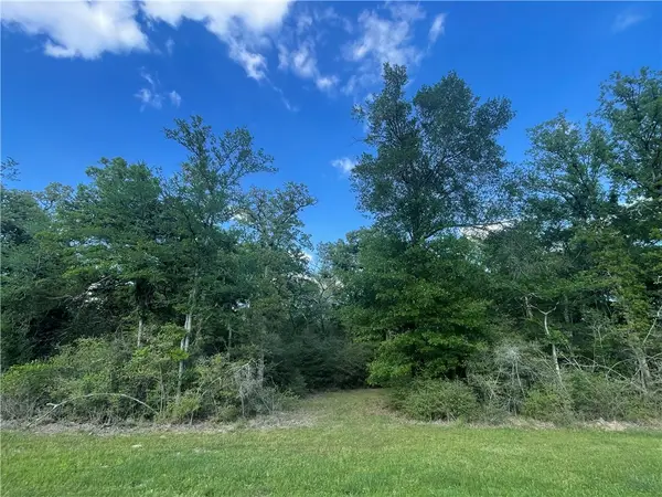 TBD Sawmill Road, Franklin, TX 77837