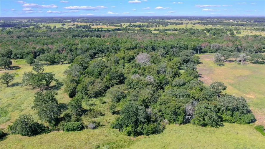 TBD Cr 227 Countyroad, Caldwell, TX 77836 - #3