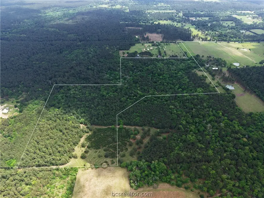 TBD Fm 1791, Richards, TX 77873 - #3