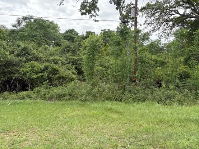 TBD Arnold Palmer Lane S, Normangee, TX 77871 - #1