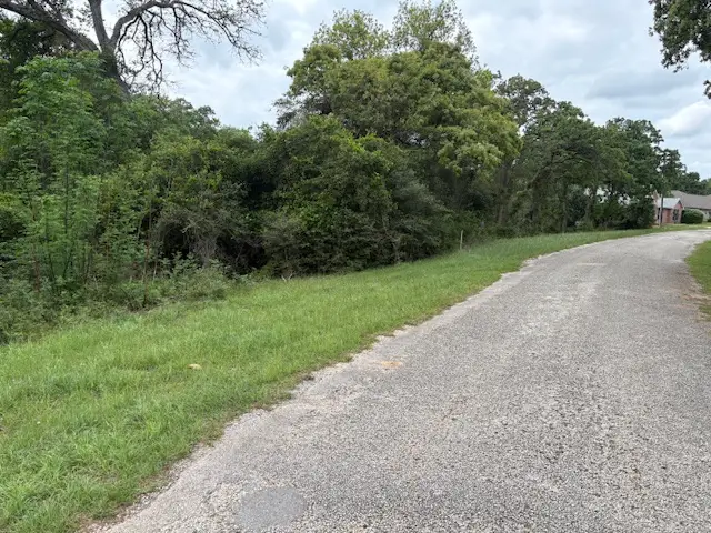 TBD Arnold Palmer Lane S, Normangee, TX 77871 - #3