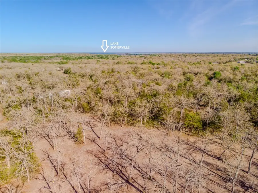 Lot 212 Forest Oak Road, Somerville, TX 77879 - #2