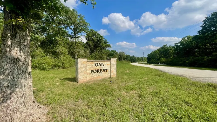 TBD Lot 18 Sawmill Rd (+/-5.51 Acres), Franklin, TX 77837 - #3