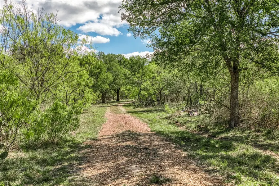 92.83 Acres Hwy 95 N, Other, TX 78941 - #3