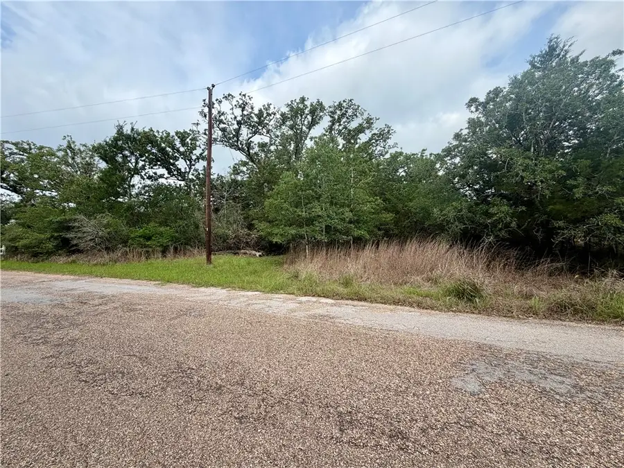 505 Deer Run Trail, Somerville, TX 77879 - #3