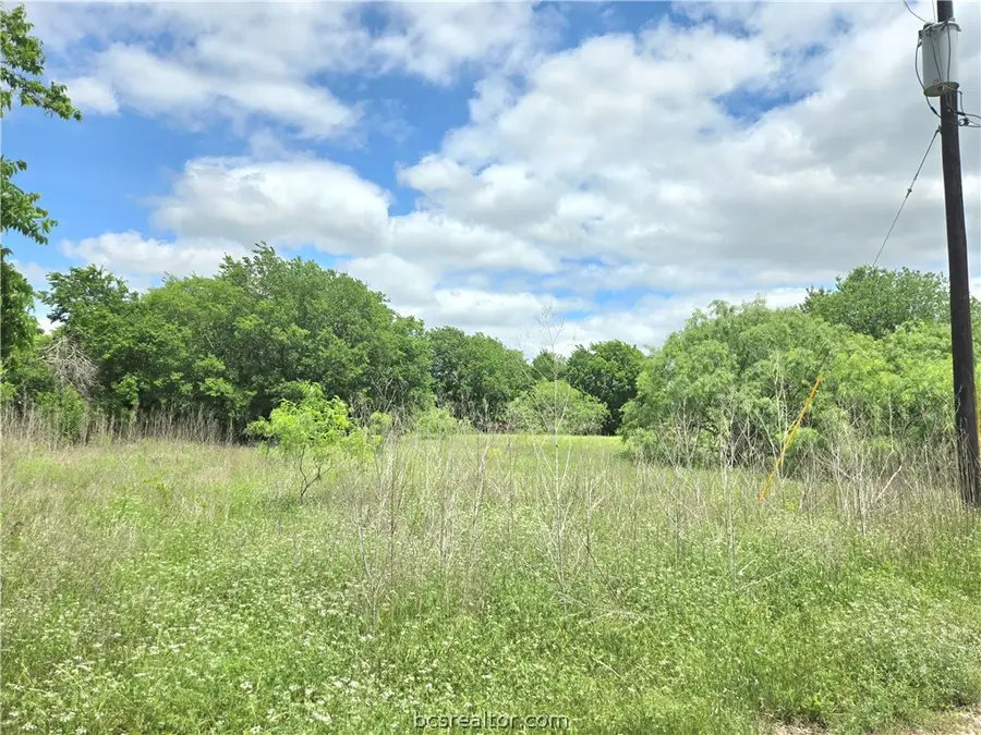 TBD Banks Street, Caldwell, TX 77836 - #3