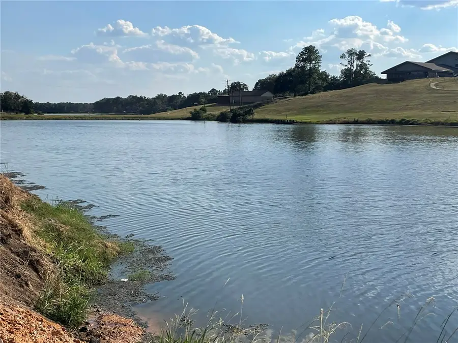 31 Ranch Road Drive, Normangee, TX 77871 - #2