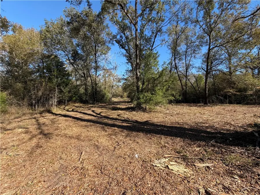 9301 Puddin Lane, Madisonville, TX 77864 - #2