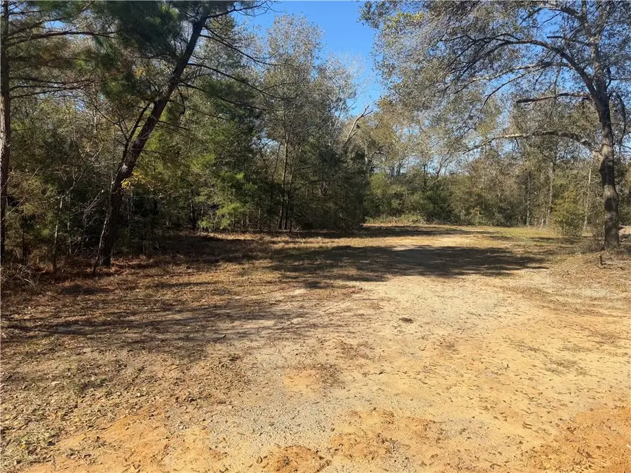 9301 Puddin Lane, Madisonville, TX 77864 - #3