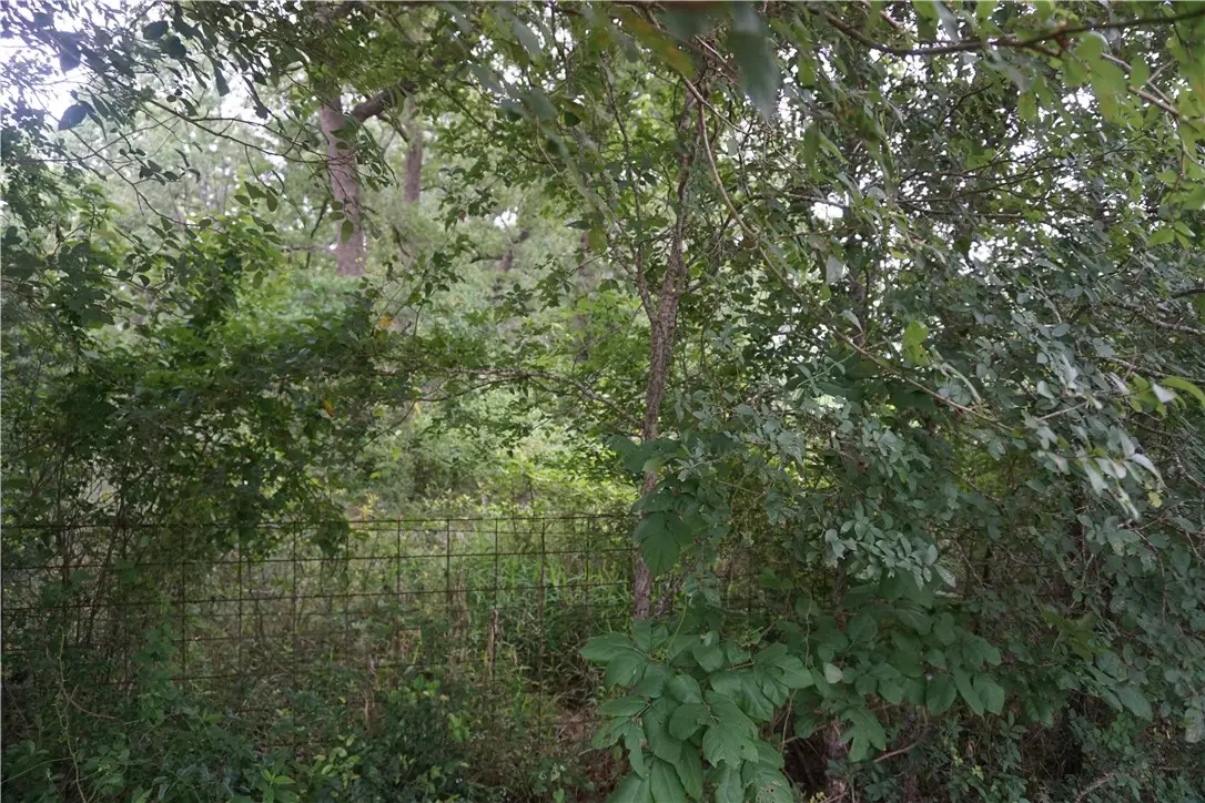 TBD Berry Creek Drive, Caldwell, TX 77836 - #1