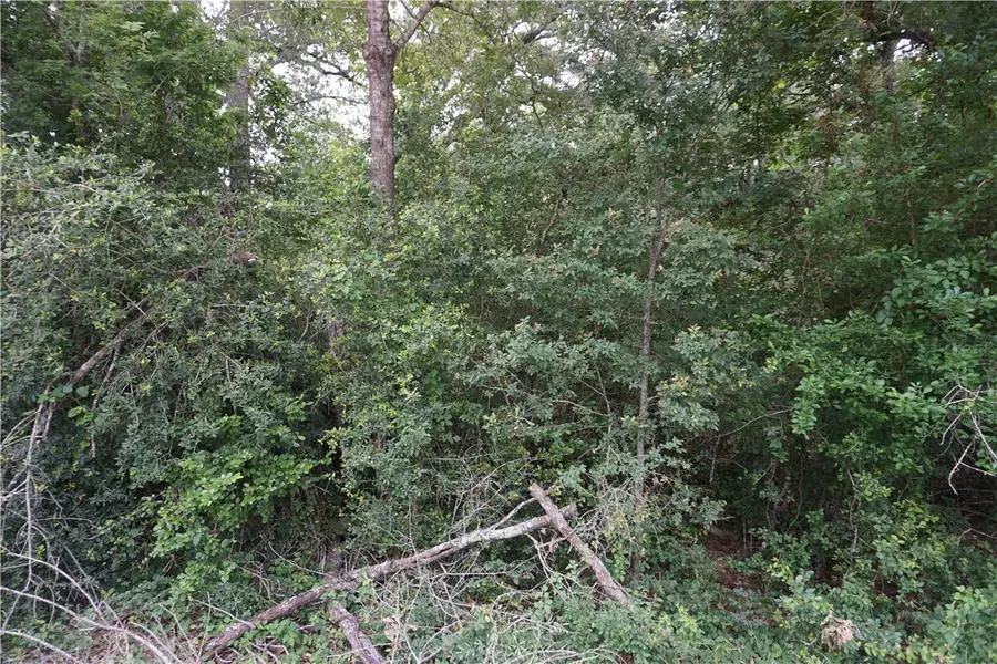 TBD Berry Creek Drive, Caldwell, TX 77836 - #2