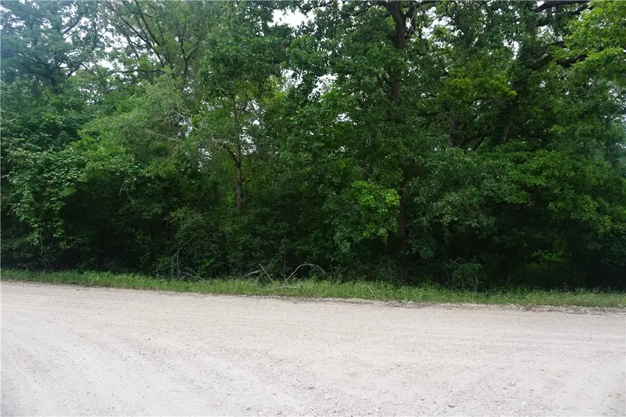 TBD Berry Creek Drive, Caldwell, TX 77836 - #3