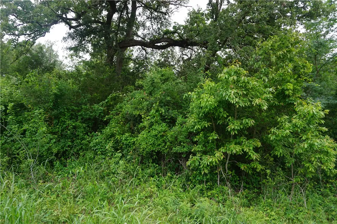 TBD Creek Side Cir, Caldwell, TX 77836 - #1
