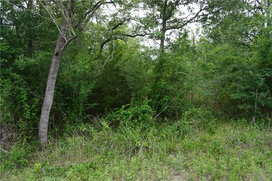 TBD Creek Side Cir, Caldwell, TX 77836 - #3