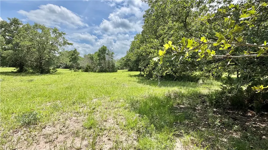 TBD Fm 1696, Iola, TX 77861 - #2