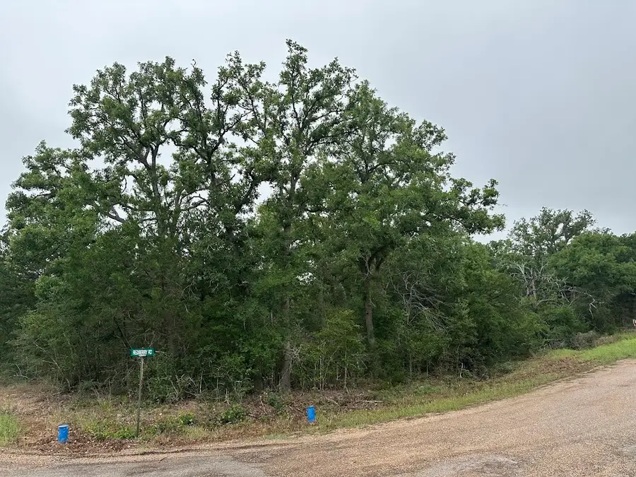 887 Big Berry Road, Somerville, TX 77879 - #2