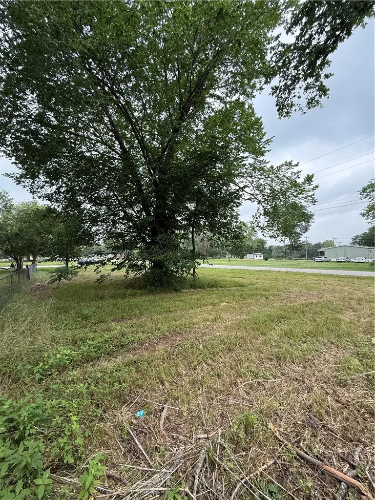 0 N Alamo, Hearne, TX 77859 - #3