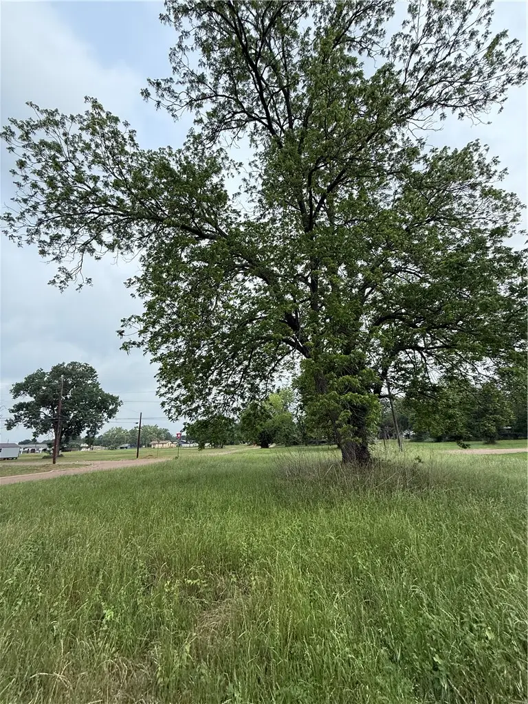809 W 5th Street, Hearne, TX 77859 - #1