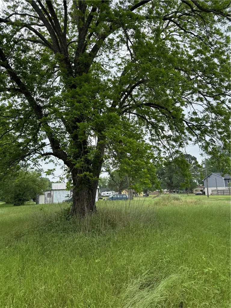 809 W 5th Street, Hearne, TX 77859 - #3