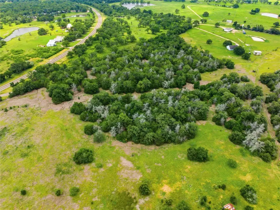 16.12 Acres Fm 60 W, Somerville, TX 77879 - #3