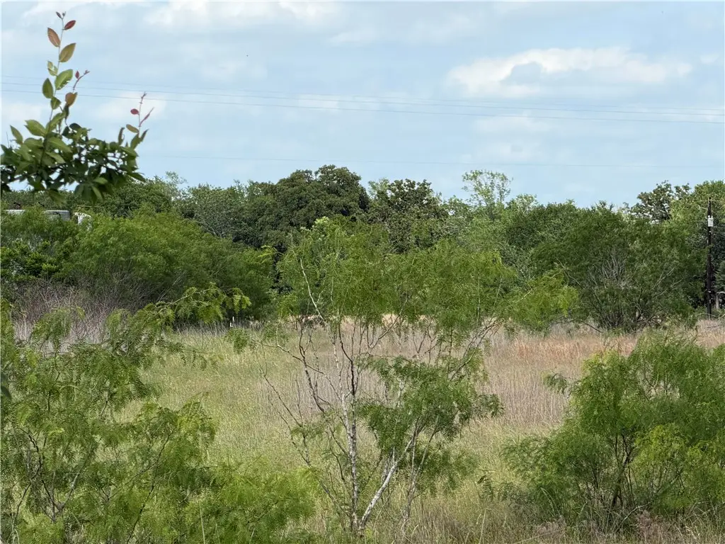 TBD Tonkaway Lake (pvt) - 2.354 Ac, College Station, TX 77845 - #1