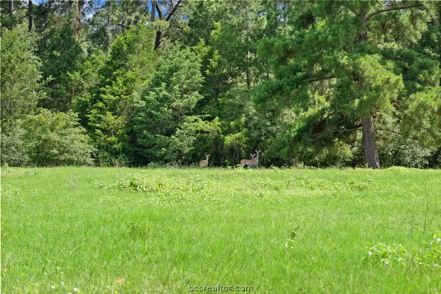 TBD St Delight (tracts 11 & 12), Paige, TX 78659 - #2