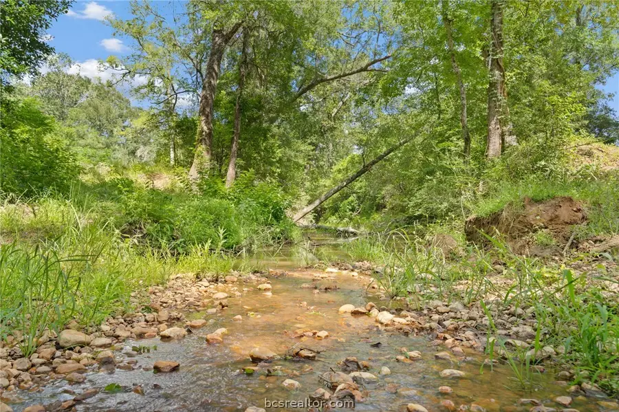 TBD St Delight (tracts 11 & 12), Paige, TX 78659 - #3