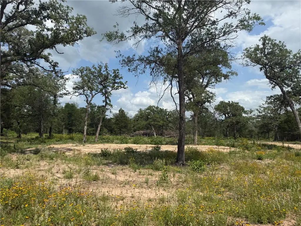 3309 Deer Ledge, Caldwell, TX 77836 - #1
