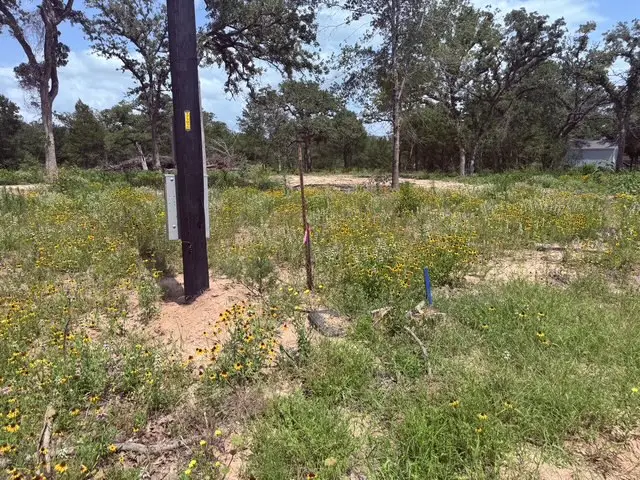 3309 Deer Ledge, Caldwell, TX 77836 - #2