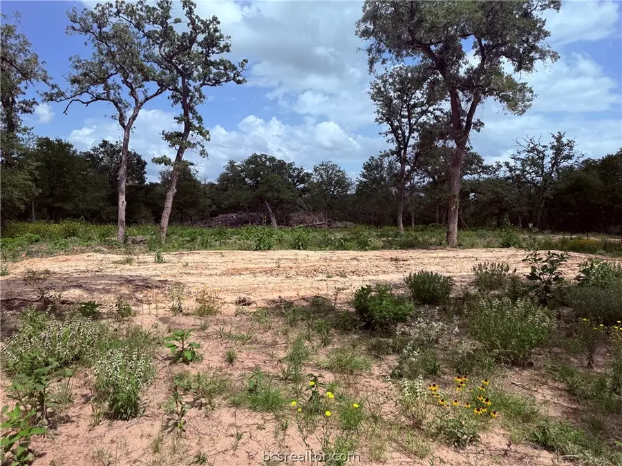 3327 Deer Ledge, Caldwell, TX 77836 - #2