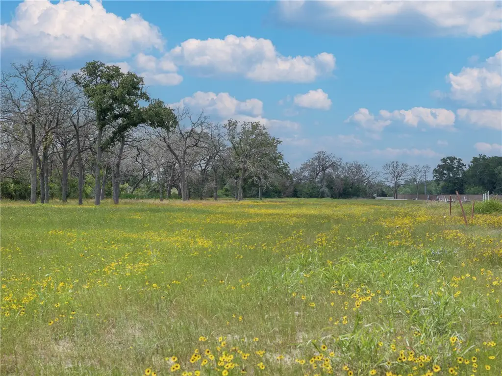 TBD Lot 3 Lake Day Drive, Somerville, TX 77879 - #1