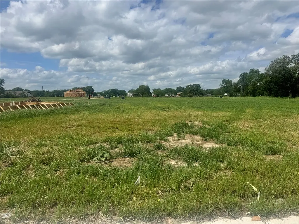 1920 Mcarthur Avenue, Bryan, TX 77803 - #1