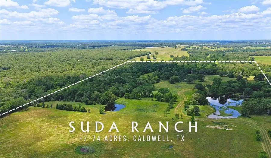 TBD County Road 132 (+/-74 Acres), Caldwell, TX 77836 - #3