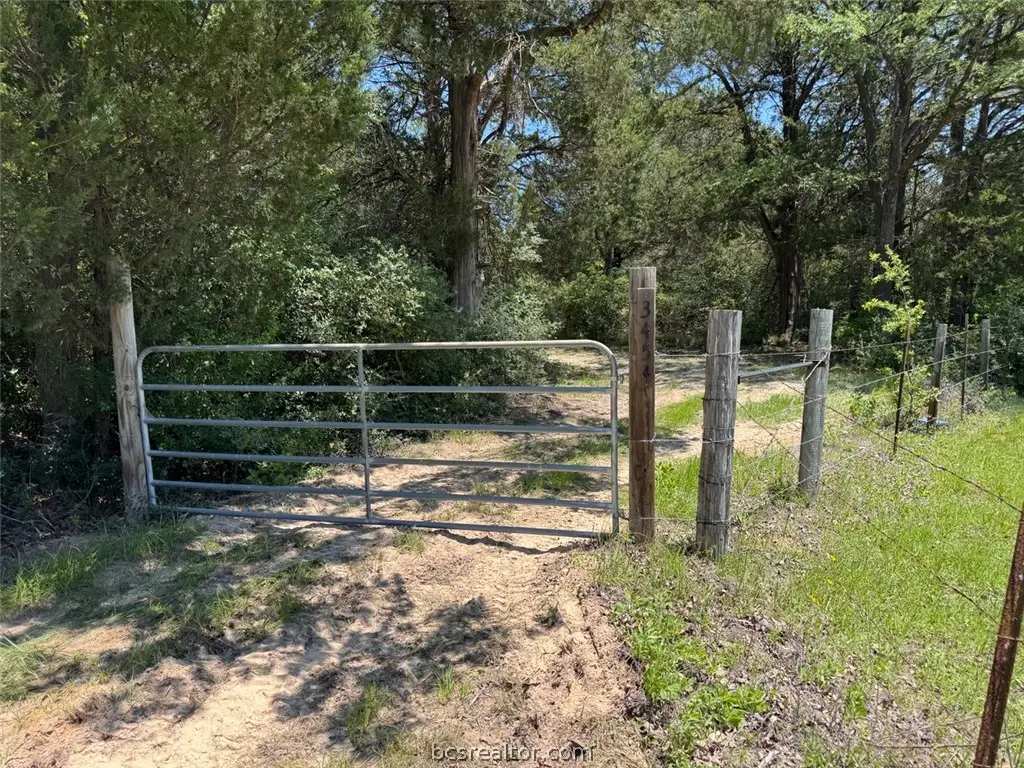 3454 Co Rd 426, Marquez, TX 77865 - #1