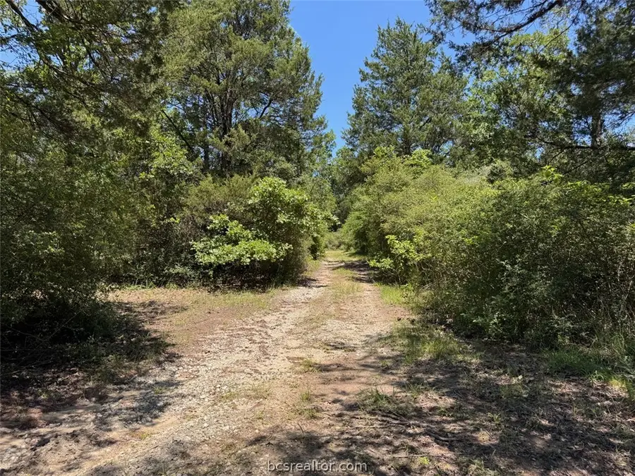 3454 Co Rd 426, Marquez, TX 77865 - #2