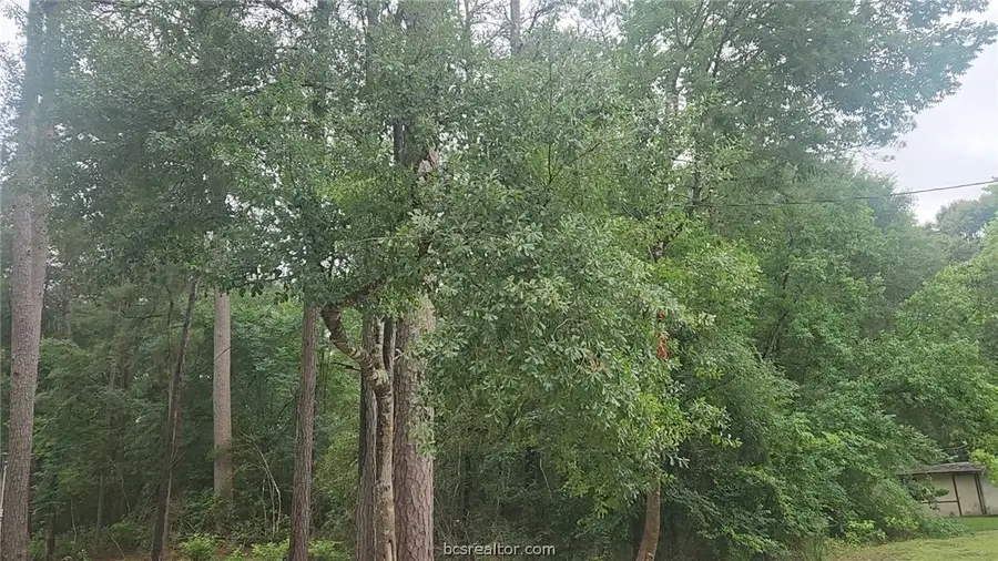 1017 Weeping Willow Drive, Plantersville, TX 77363 - #2