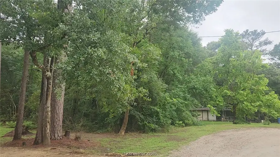 1017 Weeping Willow Drive, Plantersville, TX 77363 - #3