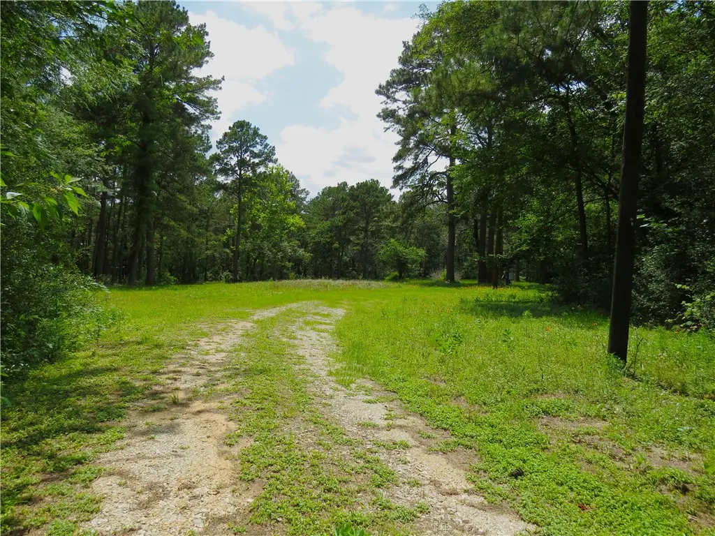 4542 Evergreen Forest Lane, Navasota, TX 77868 - #1