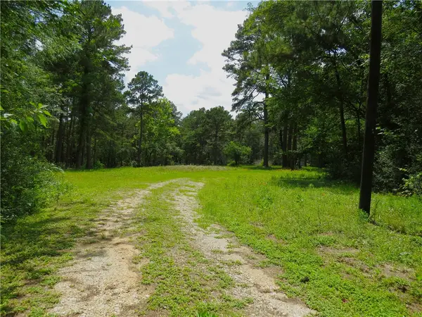4542 Evergreen Forest Lane, Navasota, TX 77868