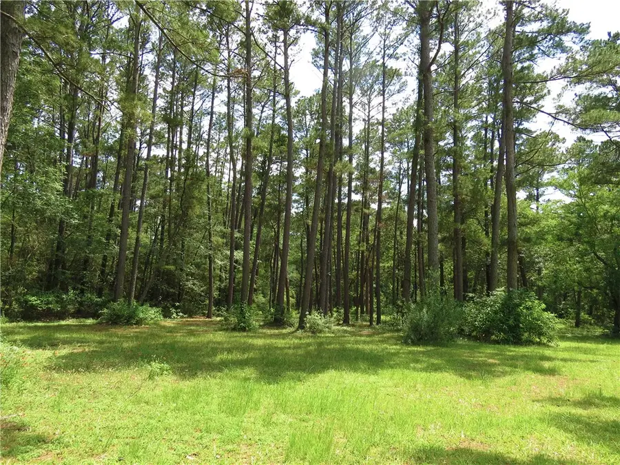 4542 Evergreen Forest Lane, Navasota, TX 77868 - #2