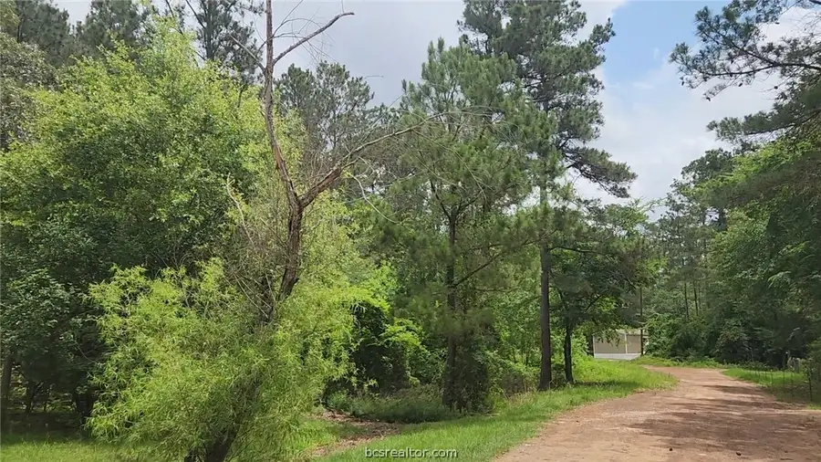 Lot 14 Basswood Lane, Plantersville, TX 77363 - #3